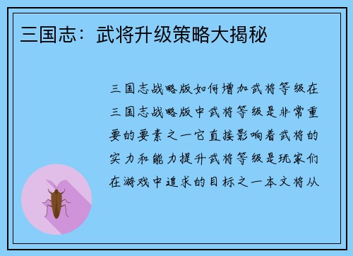 三国志：武将升级策略大揭秘